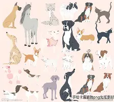 东契奇西甲赛程公布赛后发声(东契奇国际赛事)
